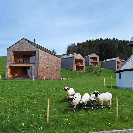 Apartment Rheintal Im Alpenvorland Batschuns Екстериор снимка