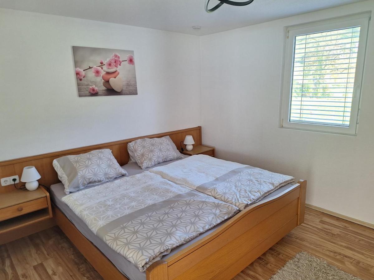 Apartment Rheintal Im Alpenvorland Batschuns Екстериор снимка