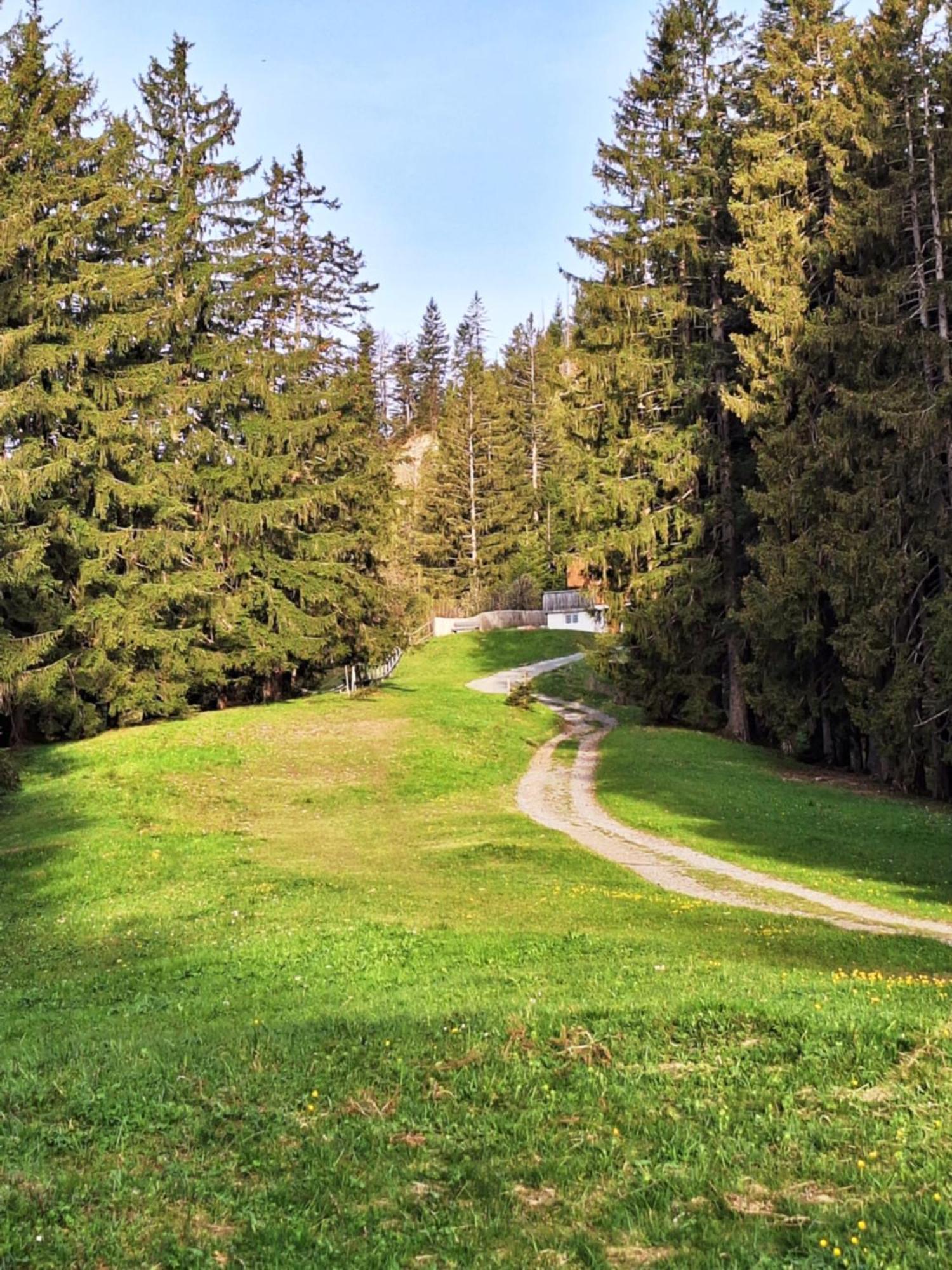 Apartment Rheintal Im Alpenvorland Batschuns Екстериор снимка
