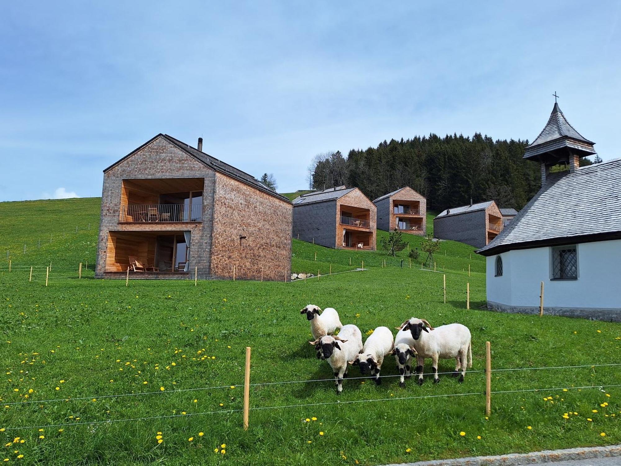 Apartment Rheintal Im Alpenvorland Batschuns Екстериор снимка