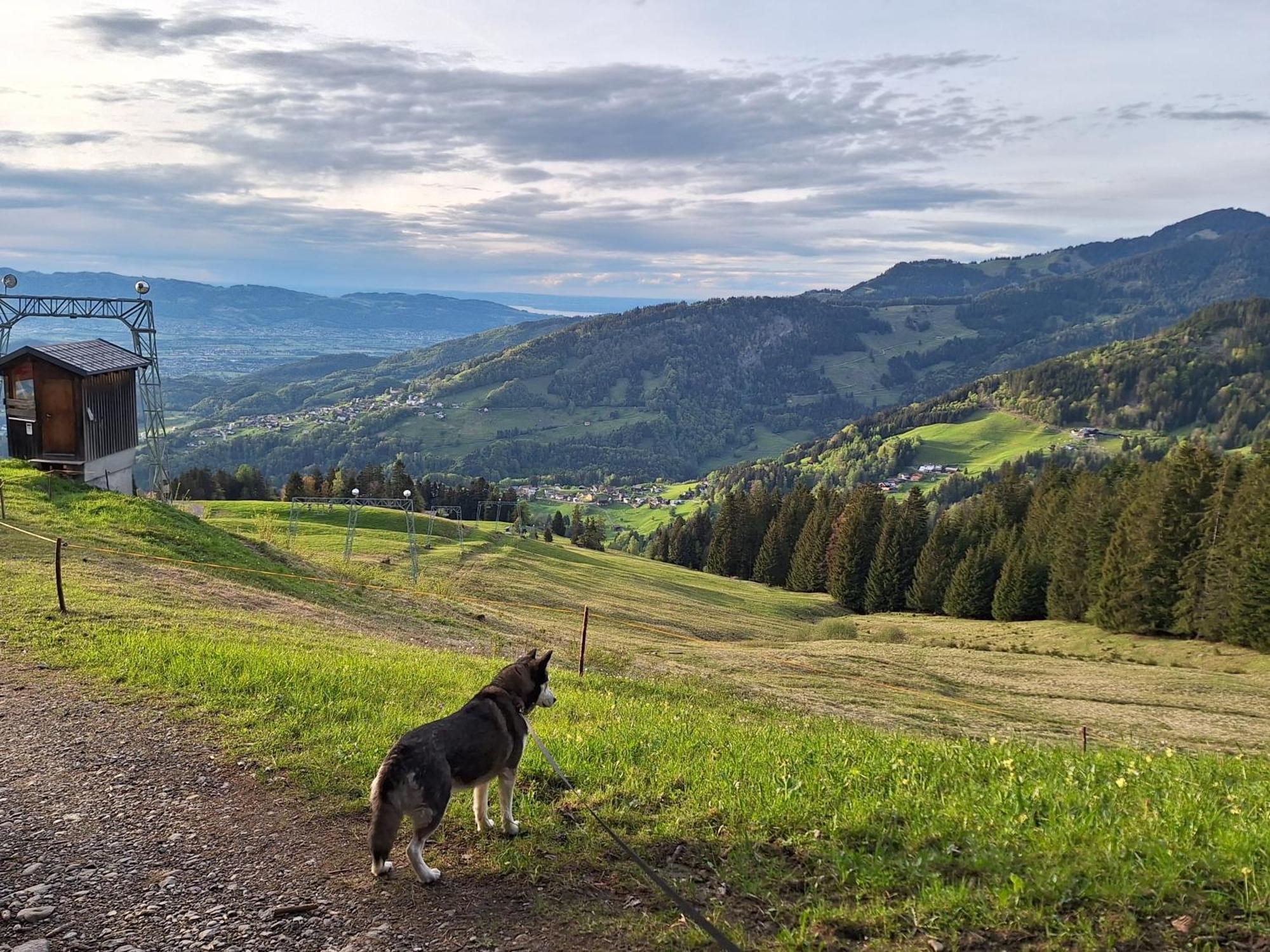 Apartment Rheintal Im Alpenvorland Batschuns Екстериор снимка
