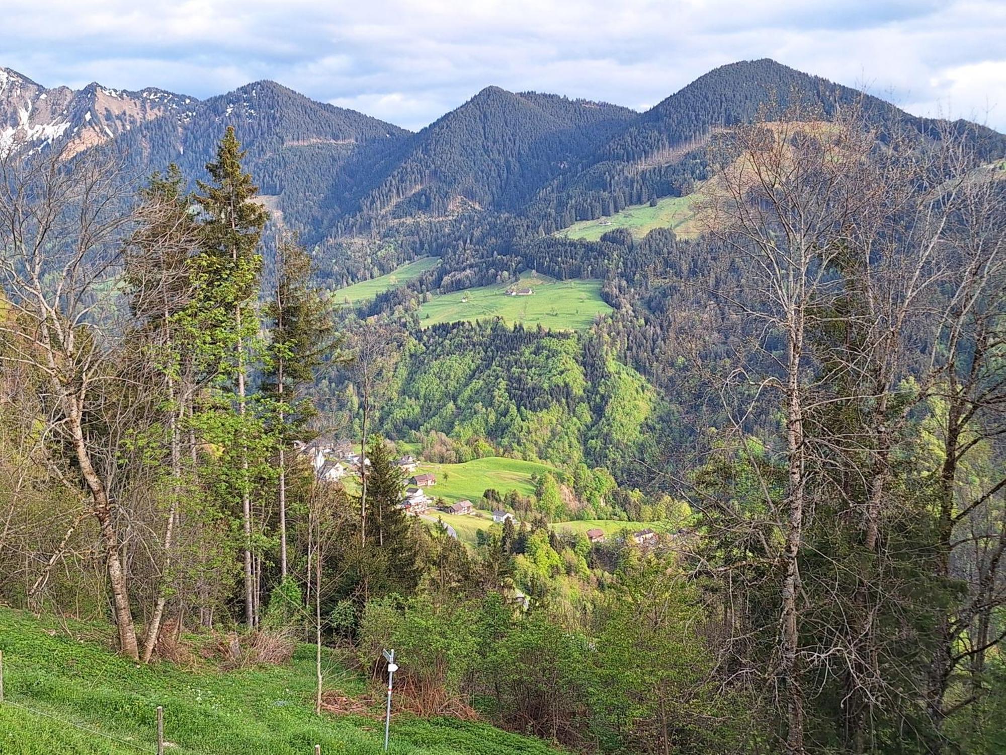Apartment Rheintal Im Alpenvorland Batschuns Екстериор снимка