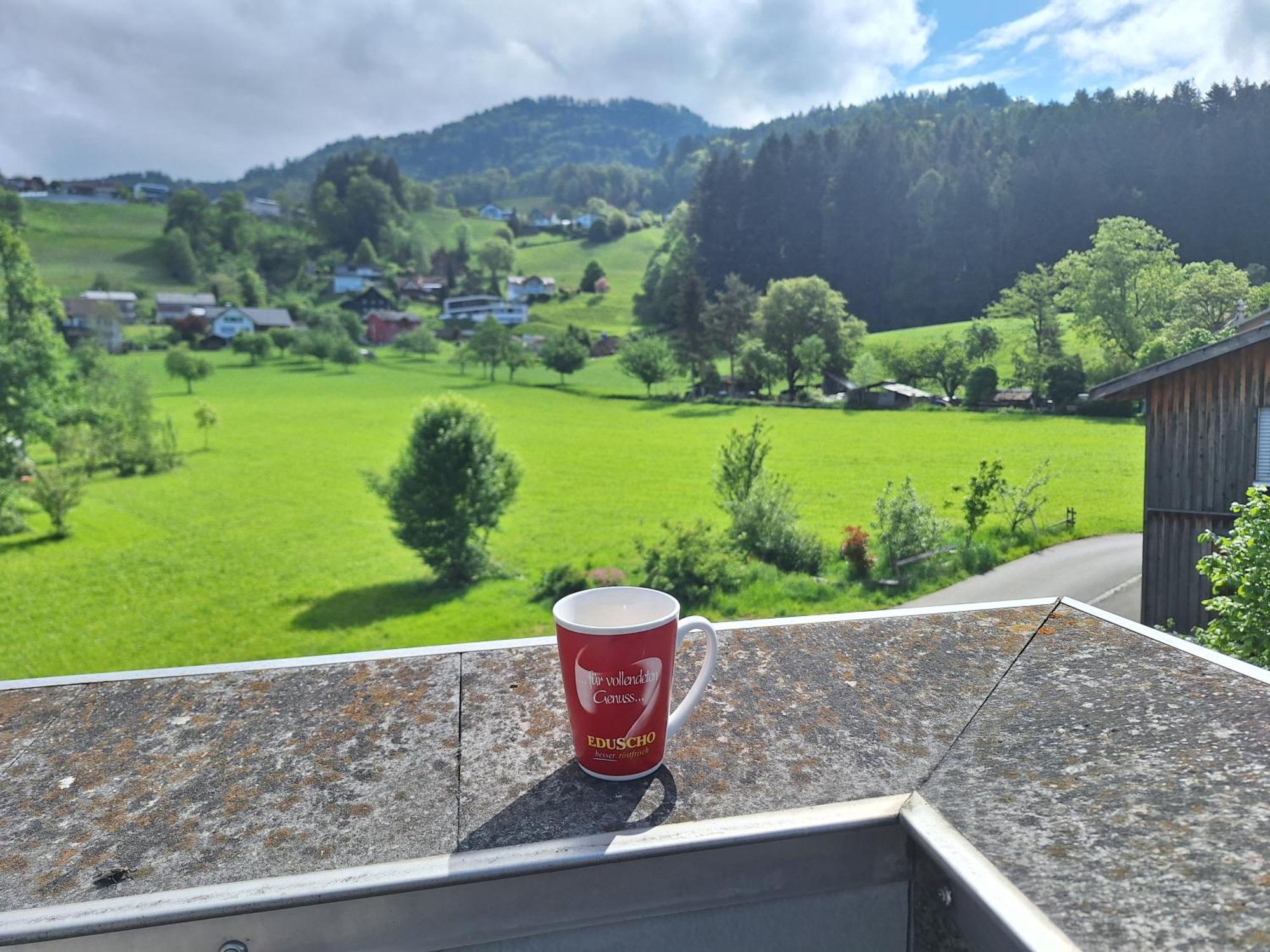 Apartment Rheintal Im Alpenvorland Batschuns Екстериор снимка
